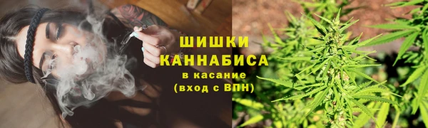 шишки Михайлов