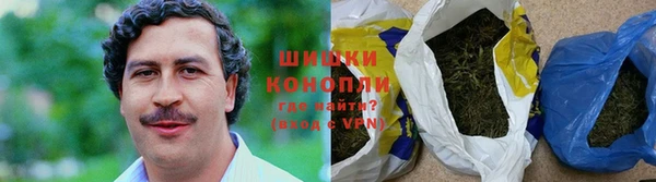 шишки Михайлов