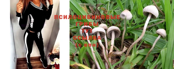 шишки Абдулино