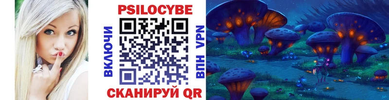 Галлюциногенные грибы GOLDEN TEACHER  купить наркотики цена  Черногорск 